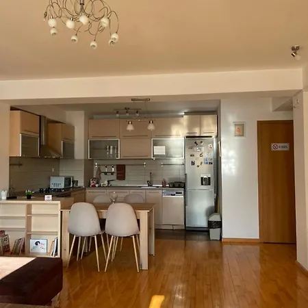公寓 Velvet Living Luxury - Two Bedrooms 斯科普里