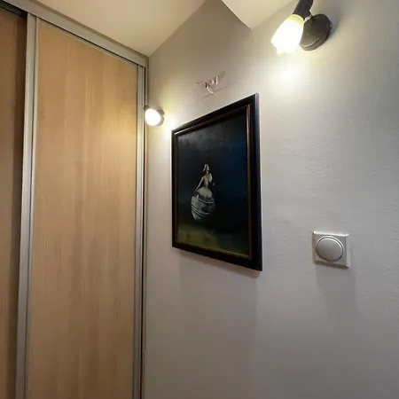 公寓 Velvet Living Luxury - Two Bedrooms 斯科普里